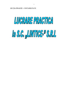 Lucrare practică la SC Lintice SRL - Pagina 1