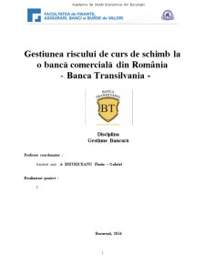 Gestiunea Riscului de Curs de Schimb La O Bancă Comercială din România - Pagina 1