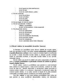 Riscul Valutar - Pagina 5