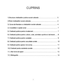 Cheltuieli publice pentru acțiuni social - culturale - Pagina 2
