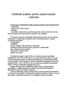 Cheltuieli publice pentru acțiuni social - culturale - Pagina 3