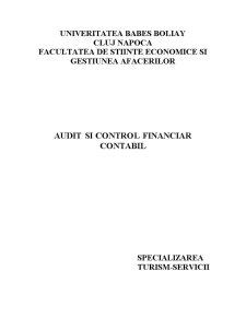 Practică de control și audit-financiar la SC Ramira SA - Pagina 1
