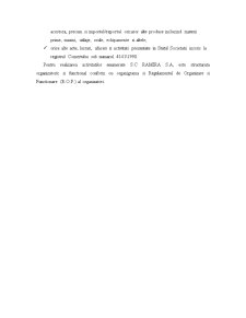 Practică de control și audit-financiar la SC Ramira SA - Pagina 3