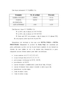Practică de control și audit-financiar la SC Ramira SA - Pagina 5