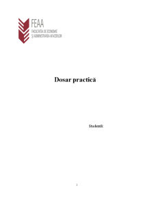 Dosar practică - Raiffeisen Bank - Pagina 1