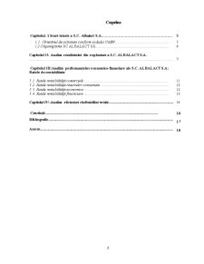 Analiza economico-financiară a SC Albalact SA - Pagina 2