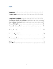 Factori Nutritivi ai Produselor Făinoase - Pagina 2