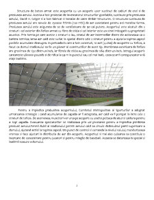 Studiu - Stadionul Hubert H. Humphrey Metrodome - Pagina 2
