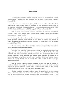 Interacțiunea dintre Malus Domestica și Ciuperca Venturia Inaequalis - Pagina 3