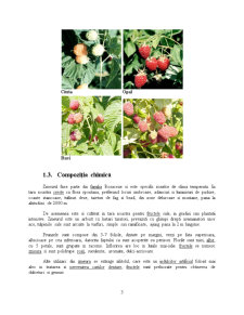 Planta de zmeur și coacăz negru - Pagina 4