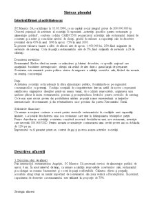 Plan de Afacere SC Maurice SA - Pagina 2