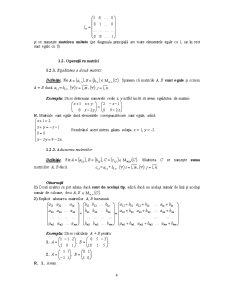 Matrici și Determinanți - Pagina 4