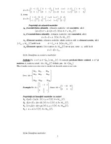 Matrici și Determinanți - Pagina 5