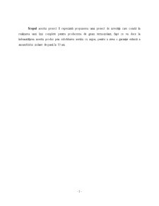 Studiu de Fezabilitate Privind Obținerea Unei Linii Complete Pentru Producerea de Geamuri Termoizolante - Pagina 2