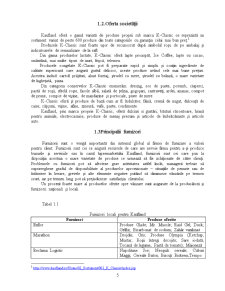 Studiu privind influența tehnicilor promoționale asupra vânzărilor Hipermarketului Kaufland - Pagina 5
