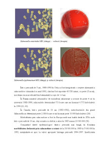 Toxiinfecția stafilococică - Pagina 27