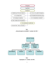Analiza Sistemului Logistic la SC Andrada Cafe SRL - Pagina 5