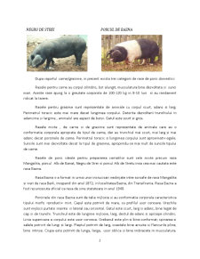Porcinele - Pagina 2