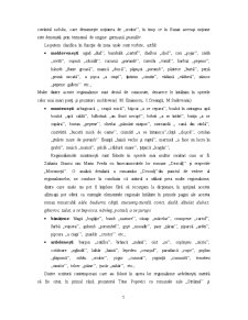 Structura funcțională a vocabularului limbii române - limbajul în administrația publică - Pagina 5