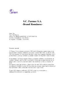 Analiza Porter aplicată pe SC Farmec SA - Pagina 3
