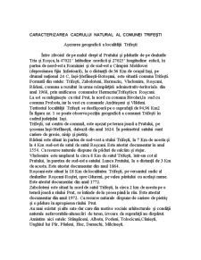 Analiza Diagnostic a Comunei rădeni-trifești - Pagina 4