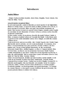 Comparație Statistică a Turismului Județ Bihor- Județ Covasna - Pagina 3
