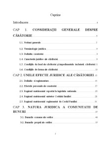 Regimul matrimonial în dreptul românesc și în dreptul comparat - Pagina 3