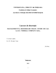 Managementul Resurselor Umane - Studiu de Caz la SC Versilia Company SRL - Pagina 2