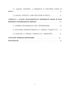 Managementul Resurselor Umane - Studiu de Caz la SC Versilia Company SRL - Pagina 4