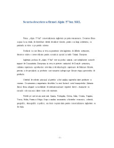 Internaționalizarea firmei alpine 57 lux - Pagina 3