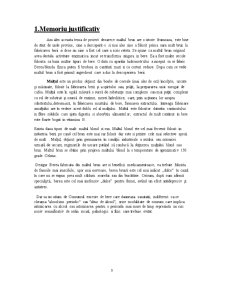 Tehnologia de fabricare a malțului brun - Pagina 3
