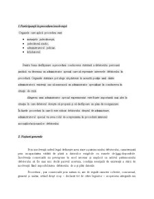 Procedura Insolvenței - Pagina 3