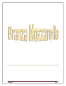 Proiectarea unei secții în vederea obținerii de brânză mozzarella - Pagina 1