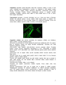 Laboratoare fiziolofie vegetală - Pagina 5