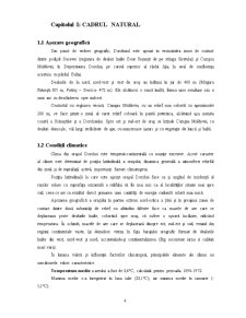 Pajiști - Pagina 4