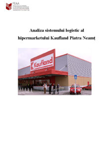 Analiza Sistemului Logistic al Hipermarketului Kaufland - Pagina 1