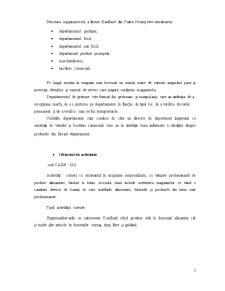 Analiza Sistemului Logistic al Hipermarketului Kaufland - Pagina 4