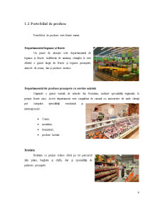 Analiza Sistemului Logistic al Hipermarketului Kaufland - Pagina 5