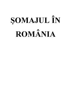 Șomajul în România - Pagina 1