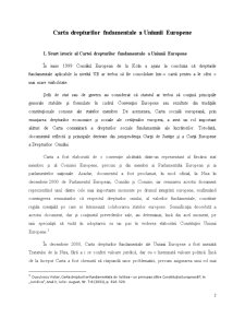 Carta Drepturilor Fundamentale a Uniunii Europene - Pagina 2