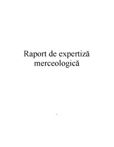 Raport de Expertiză Merceologică - Pagina 1