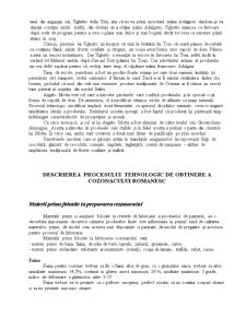 Paralelă între cozonacul românesc și Panettone - Pagina 3