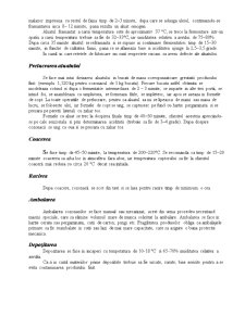 Paralelă între cozonacul românesc și Panettone - Pagina 5