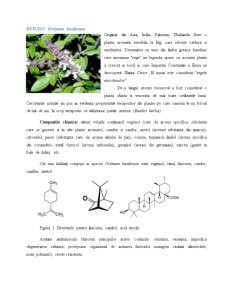 Plante cu proprietăți antitumorale - Pagina 2