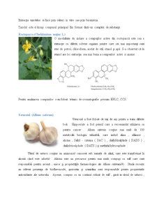 Plante cu proprietăți antitumorale - Pagina 4