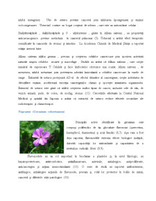 Plante cu proprietăți antitumorale - Pagina 5