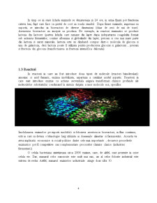 Bioreactoare - Pagina 4