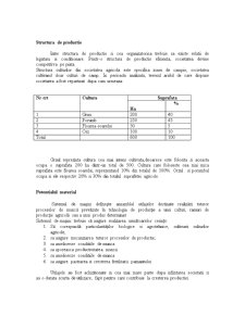 Evaluarea economico-financiară la întreprinderea agricolă SC Banat Farming SRL - Pagina 4