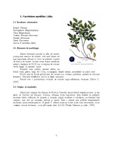 Fructe de pădure - descriere, compoziție și importanță - Pagina 5