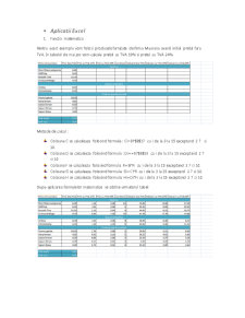Pachete software - analiza comparativă a două pachete software - Pagina 4